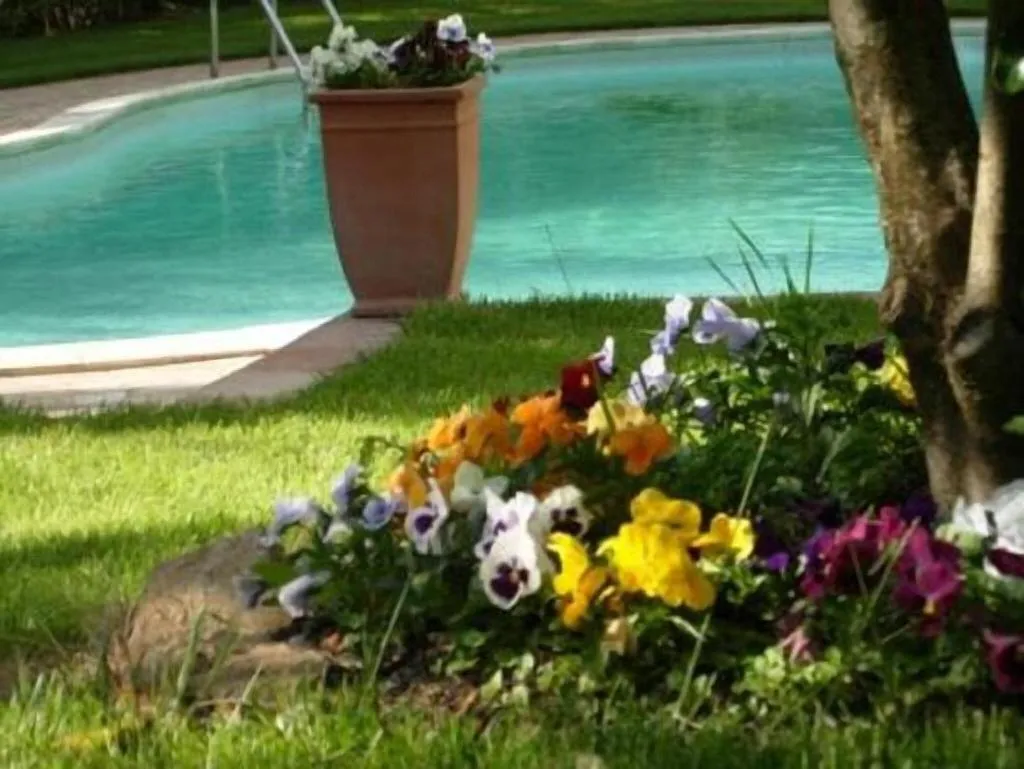 Pool, Villa Clementine, Palermo