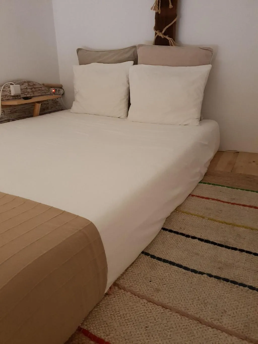Room, Cactus Host, Gran Canaria