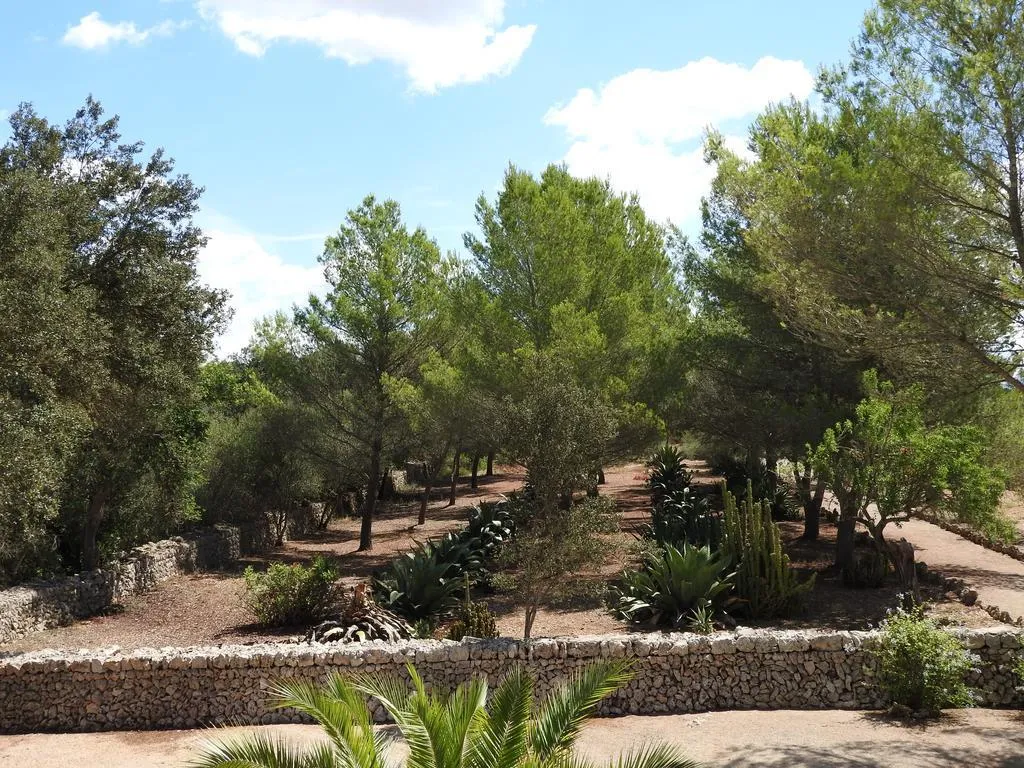 General view, Son Xotano, Majorca