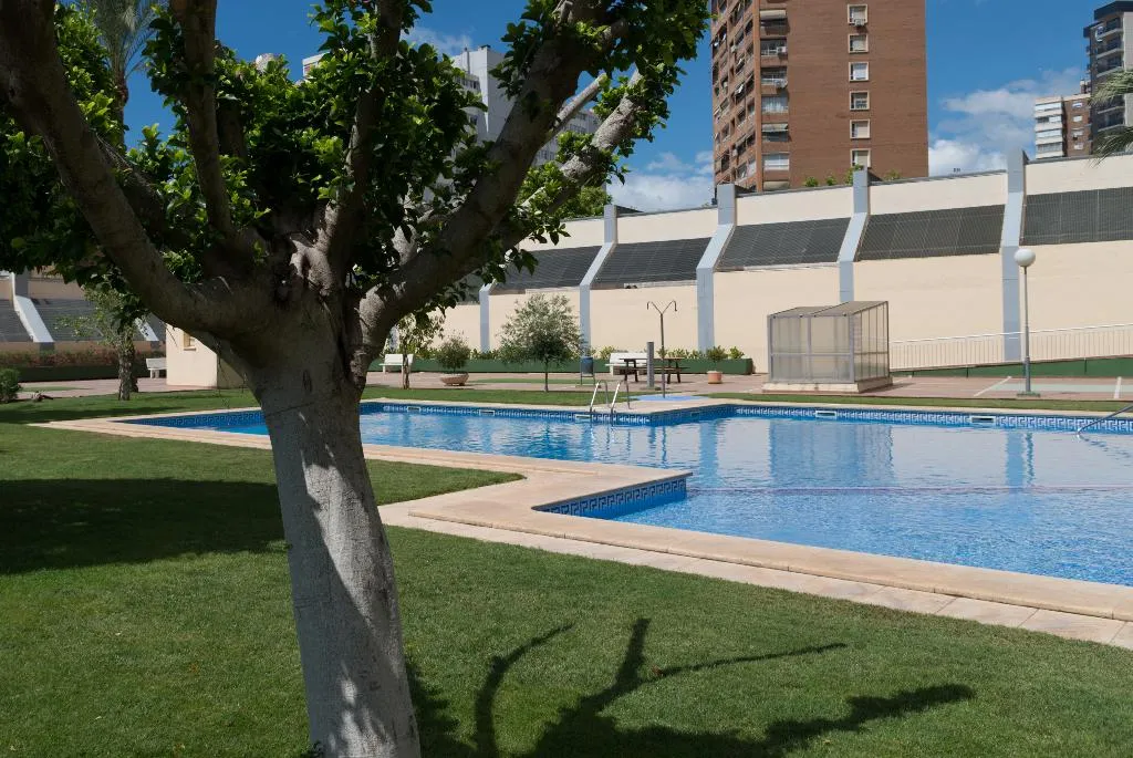 Pool, Apartamentos Gemelos  20, Costa Blanca