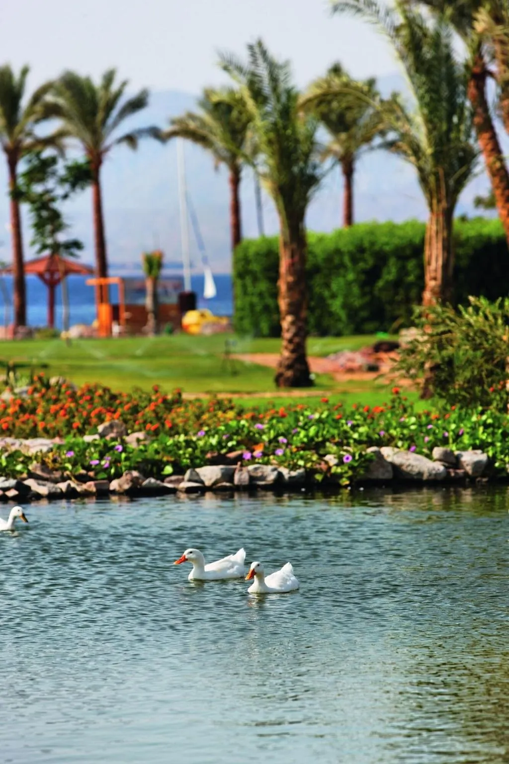 General view, Movenpick Resort Taba, Red Sea Riviera