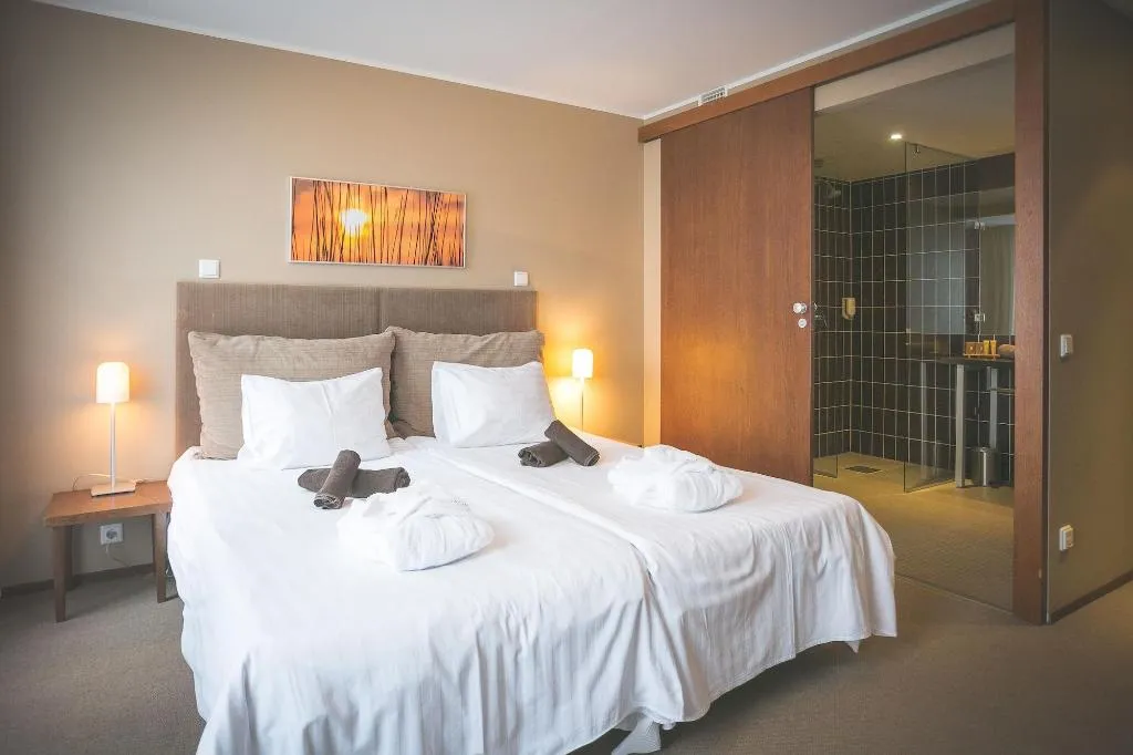 Room, Johan SPA, Tallinn