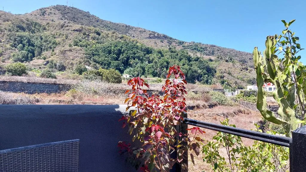 Conferences, Apartamentos Monasterio de San Antonio Only Adults, Tenerife