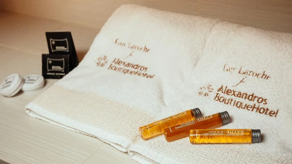 JUNIOR SUITE STANDARD Room, Alexandros Boutique Hotel, Kalamata
