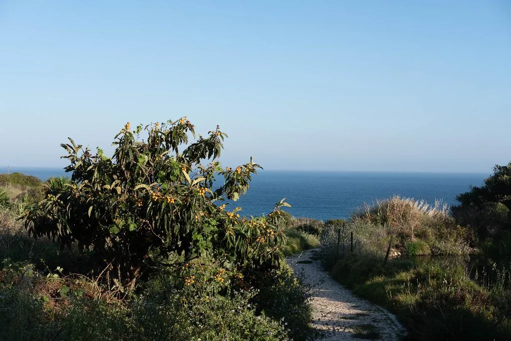 General view, Quinta do Mar Country & Sea Village, Algarve