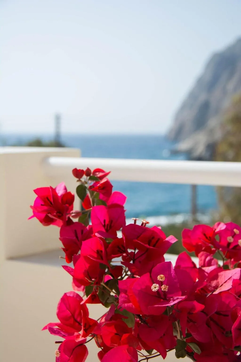 Terrace, Sail Inn, Santorini
