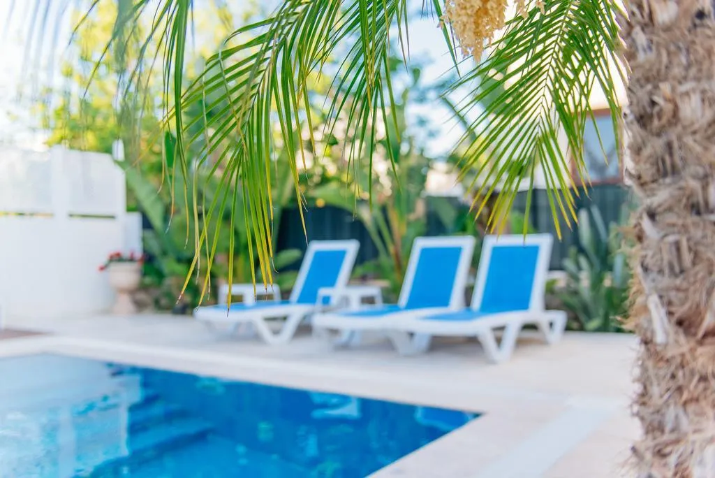 Pool, Via Farilya Hotel, Bodrum
