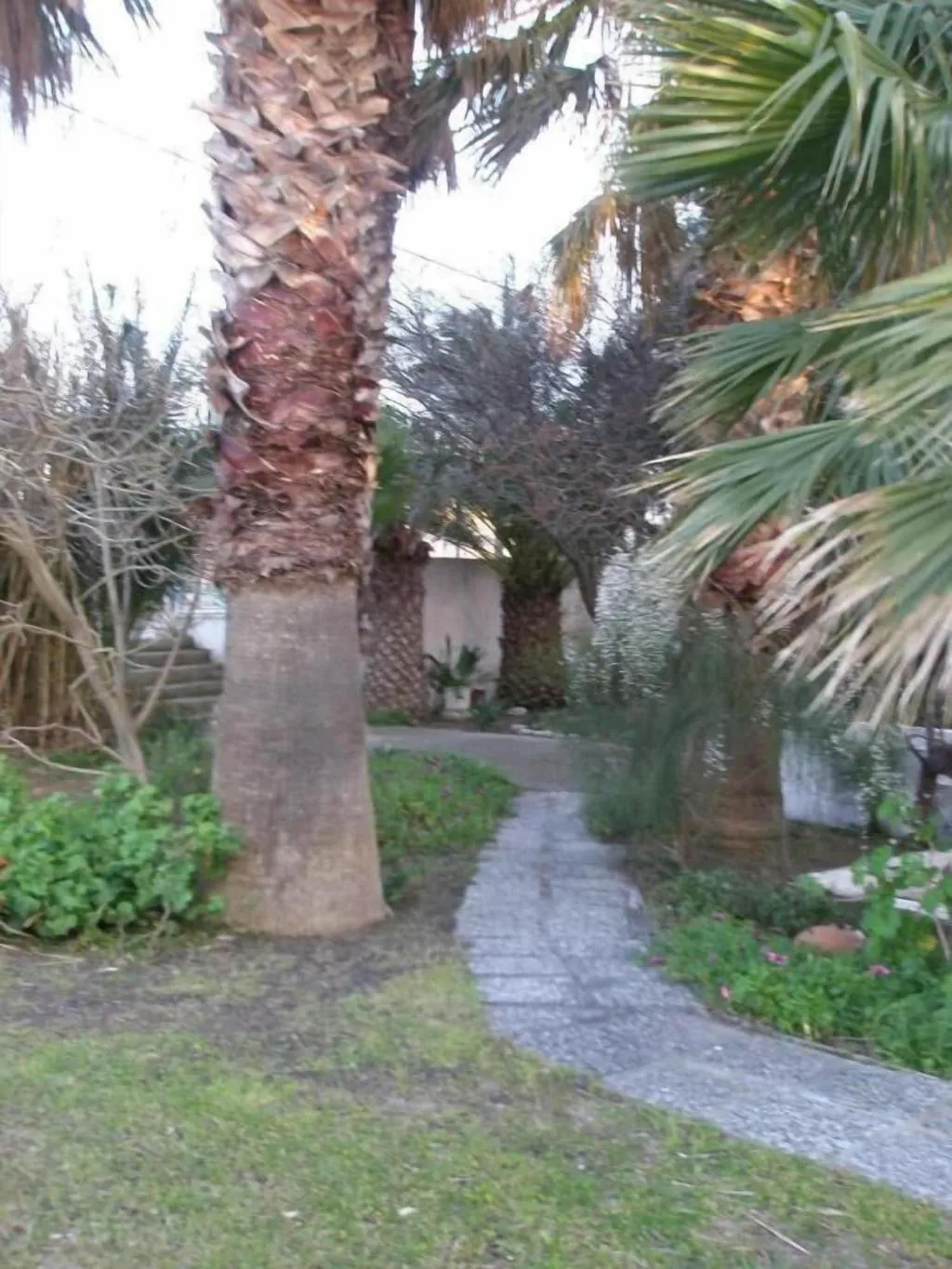 General view, Dolphin Apartments, Rhodes