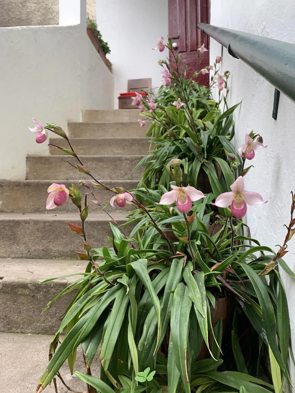 General view, Vitorina Corte Guesthouse, Madeira