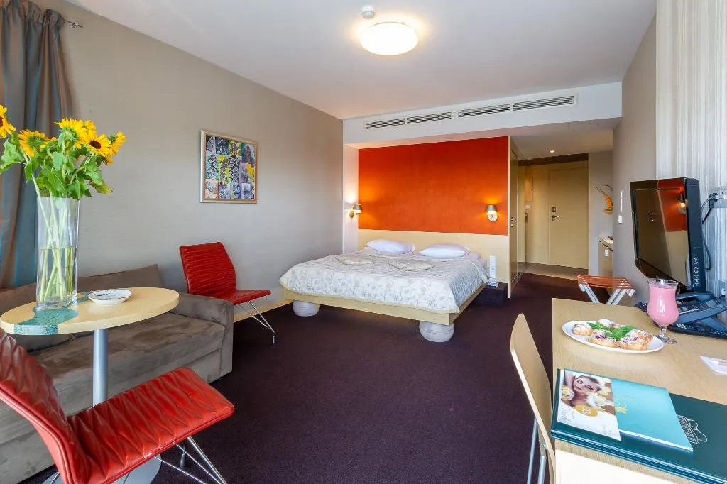 DOUBLE STANDARD Room, Hotel Niebieski Art Hotel & Spa, Krakow