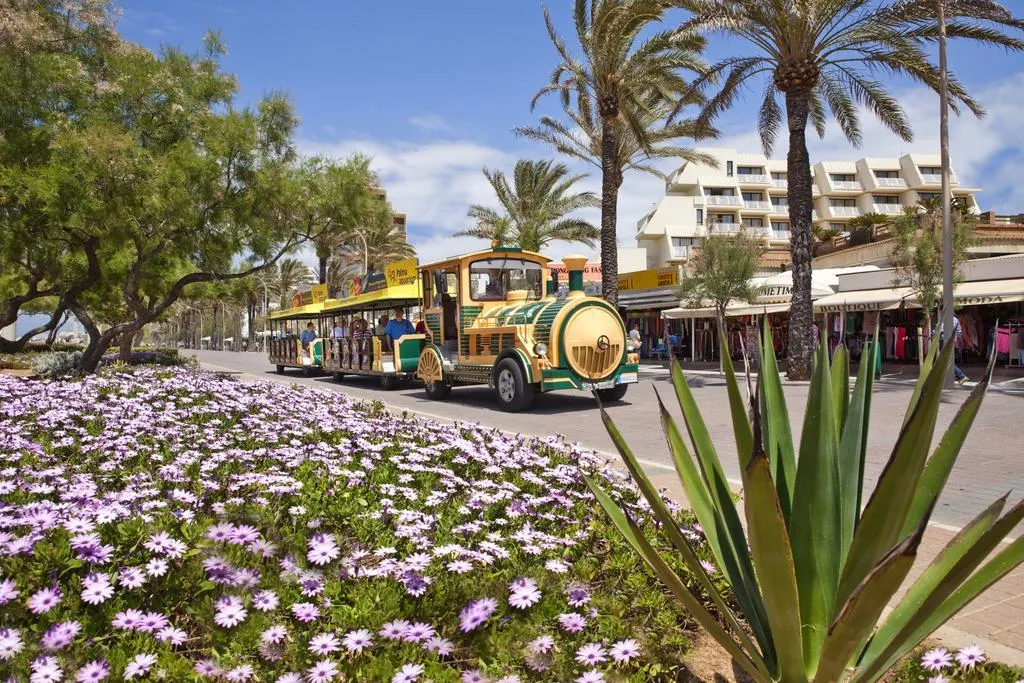 Sports and Entertainment, Hotel Foners - Adults only, Majorca