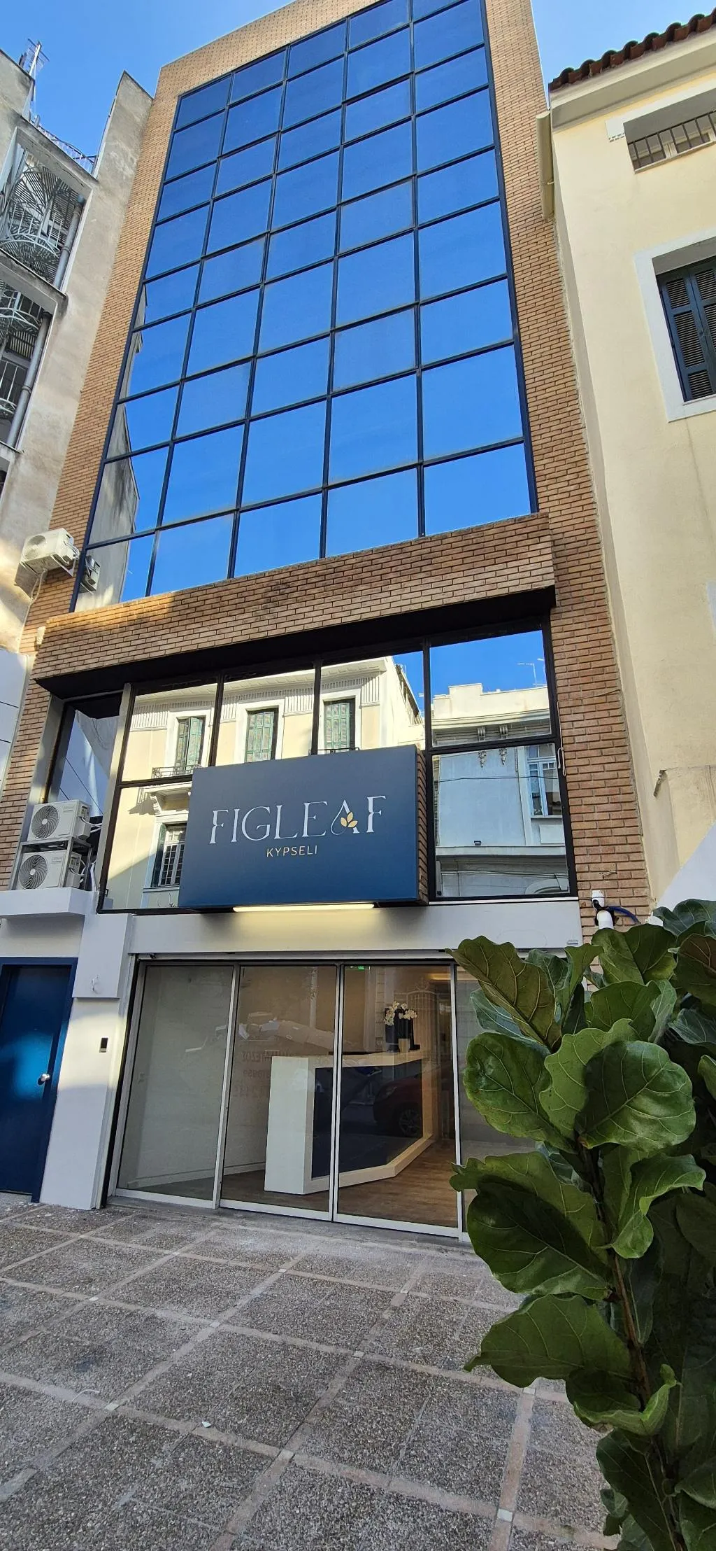 General view, Figleaf Kypseli, Athens
