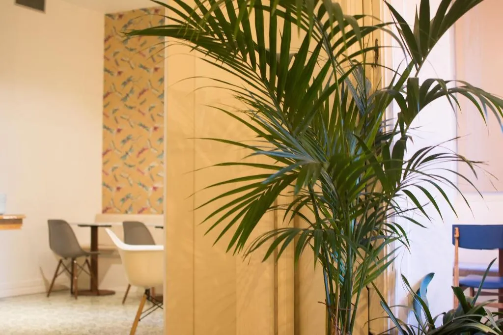 Lobby, Forgetmenot, Barcelona