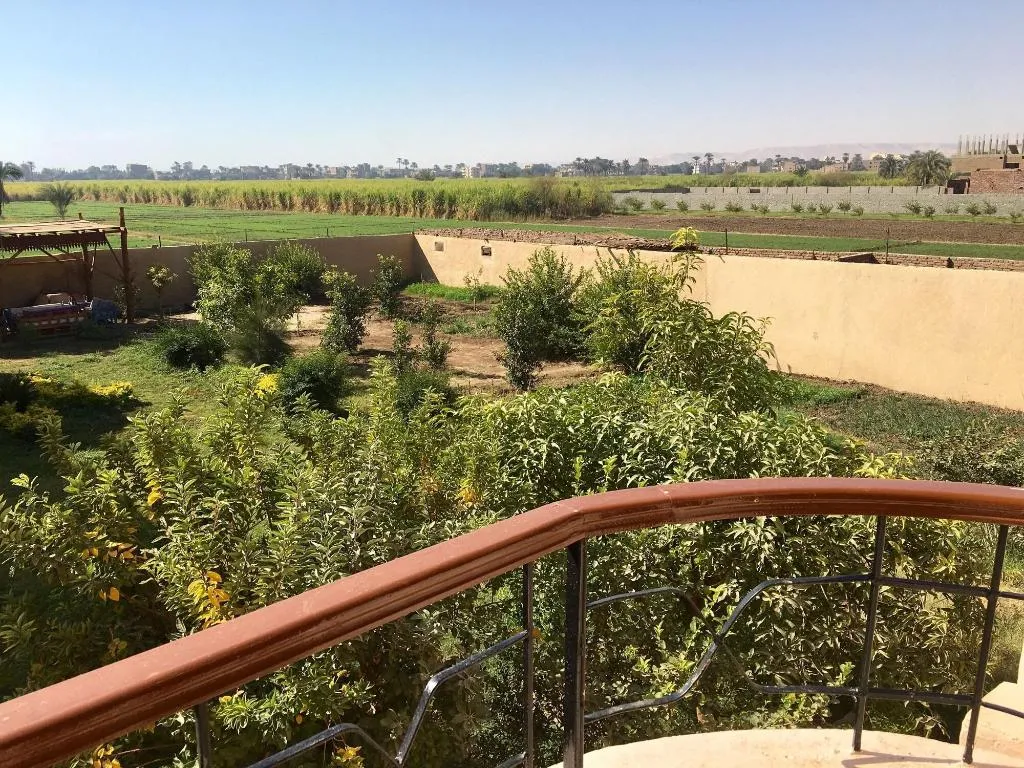 Room, New Memnon Hotel, Luxor