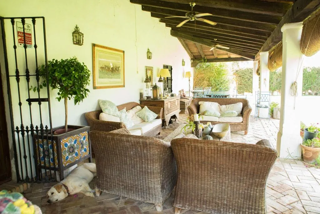 Terrace, Hacienda la Indiana, Andalucia