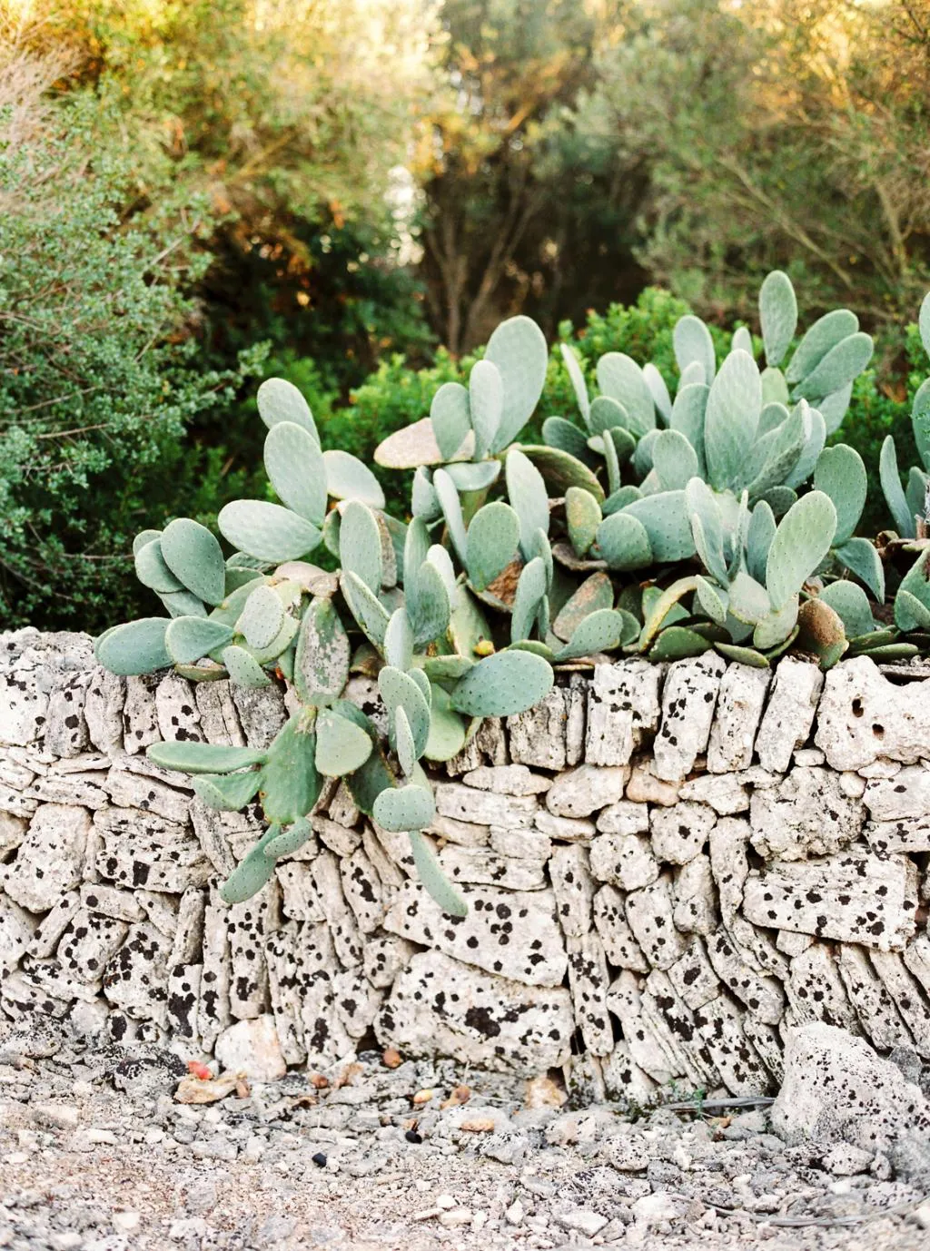 Terrace, Casal Santa Eulalia, Majorca
