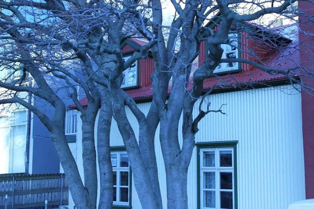Room, Grettir Guesthouse, Reykjavik