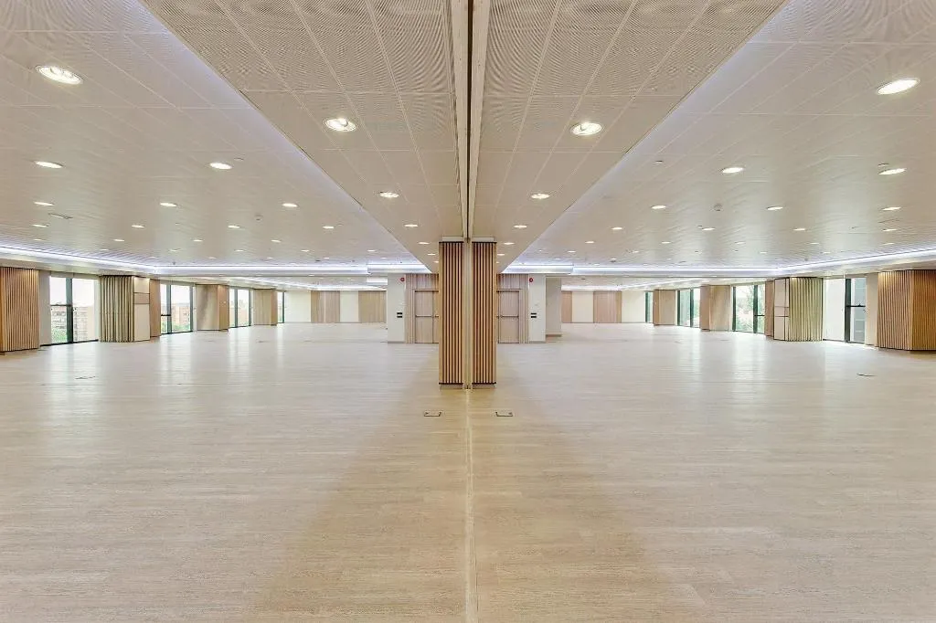 Conferences, Melia Avenida America, Madrid