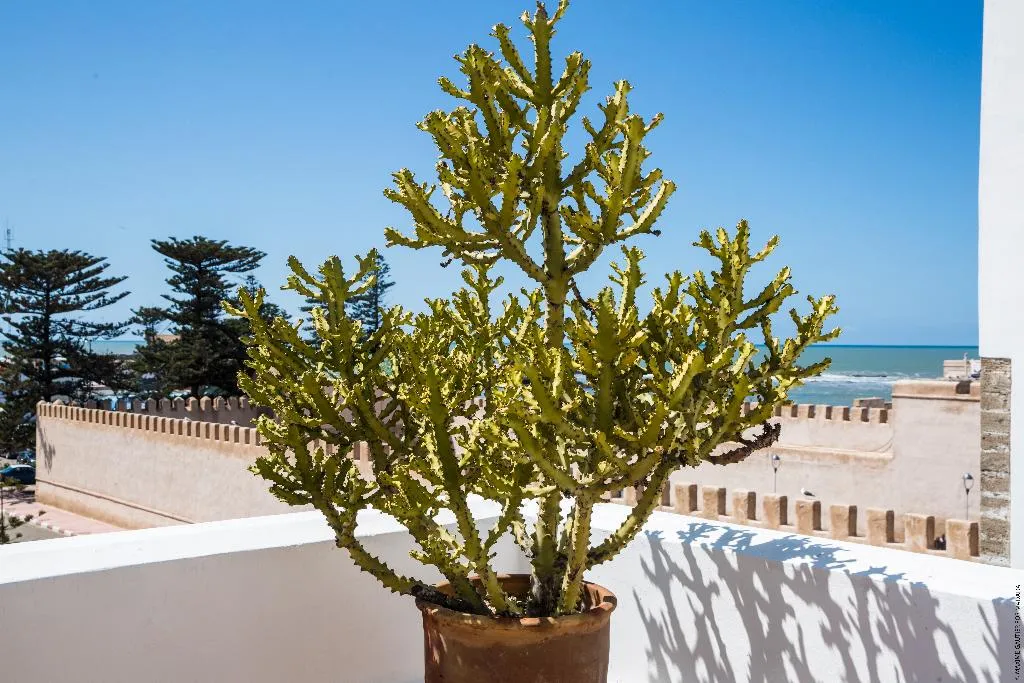 JUNIOR SUITE STANDARD Room, Madada Mogador, Essaouira