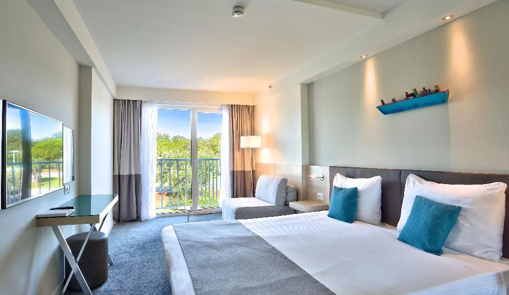 DOUBLE SINGLE USE SUPERIOR Room, Park Plaza Belvedere, Istria