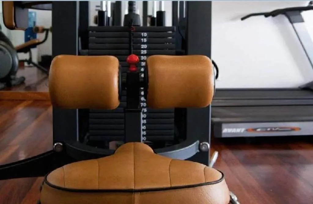Sports and Entertainment, Oca Douro Valley Hotel & Spa, Porto