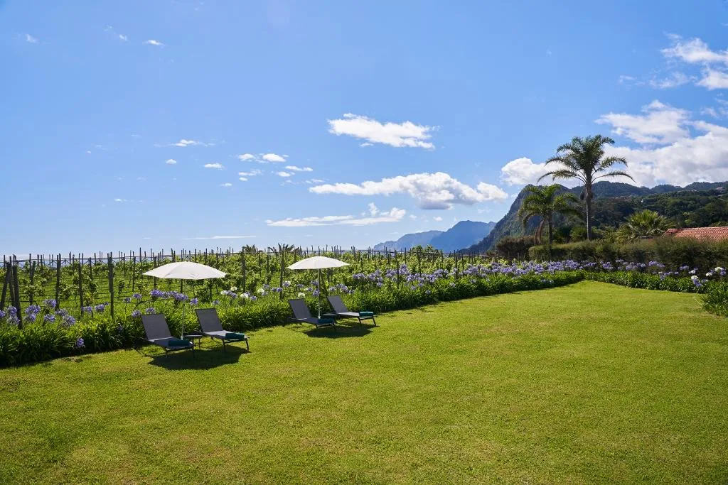 General view, Quinta do Furao, Madeira
