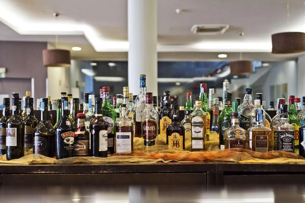 Bar, Lam Hotel Estarreja, Porto
