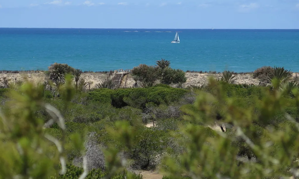 Beach, Alannia Guardamar, Costa Blanca