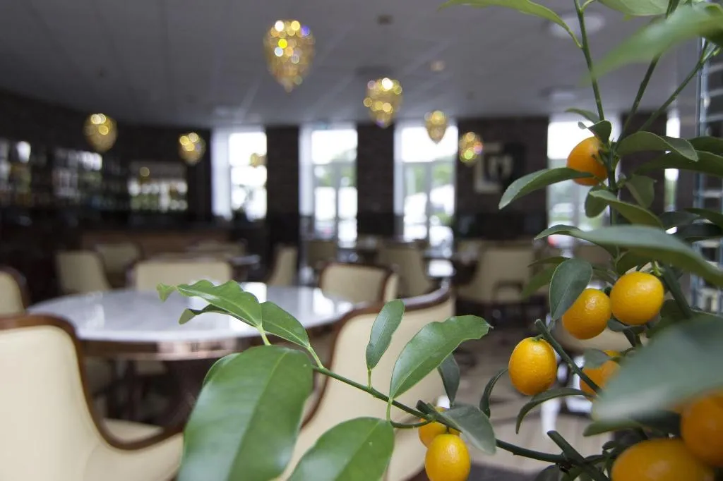 Lobby, A Hotels Glostrup, Copenhagen