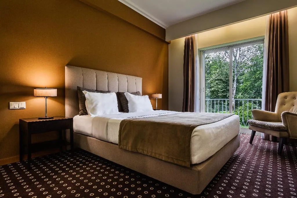 DOUBLE STANDARD Room, Grão Vasco - Historic Hotel and SPA, Porto