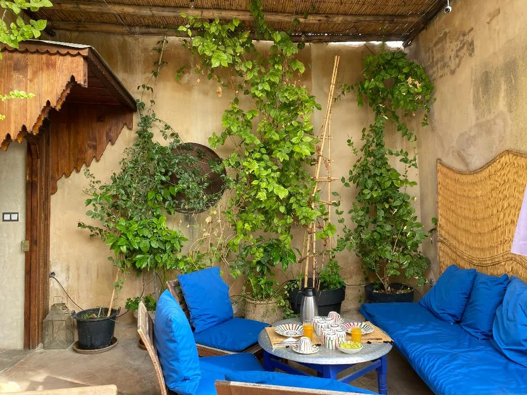 Terrace, Dar 7 Louyat, Fez