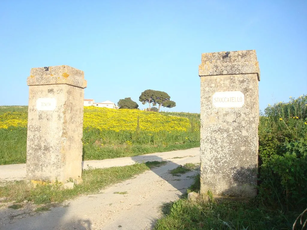 General view, Tenuta Stoccatello, Catania