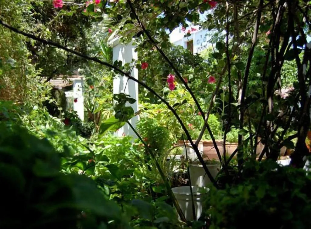 General view, Villa Pinelopi, Mykonos