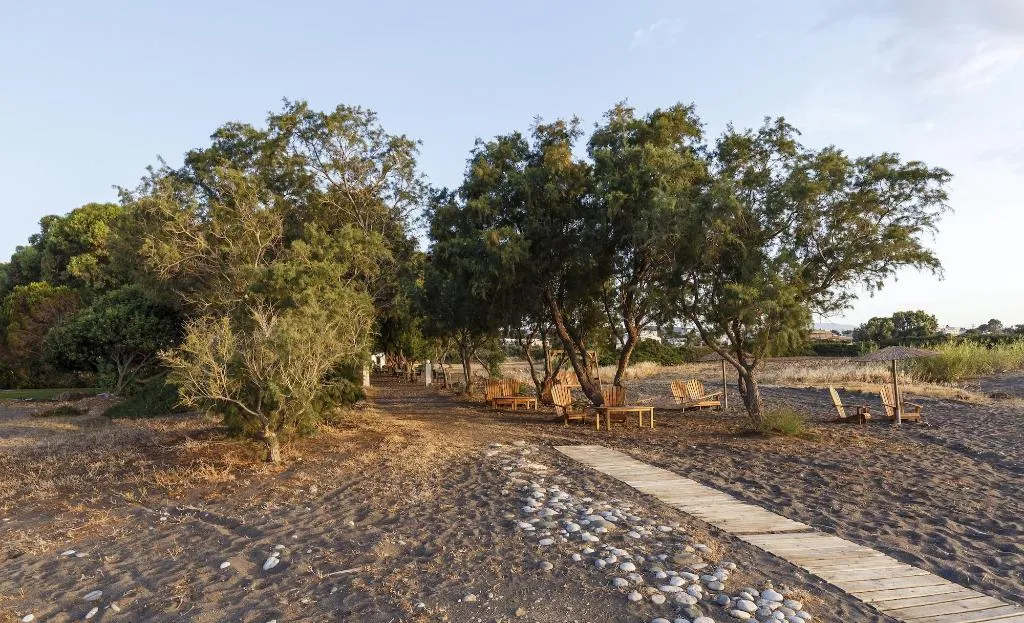 Beach, Eco Beach And Magic Garden, Rhodes