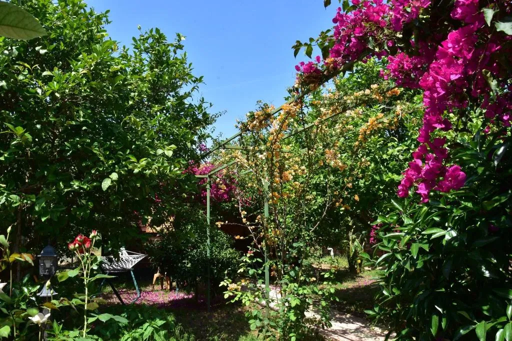 General view, Lemon Garden Lodge, Antalya
