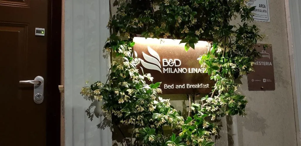 General view, Bed Milano Linate, Milan