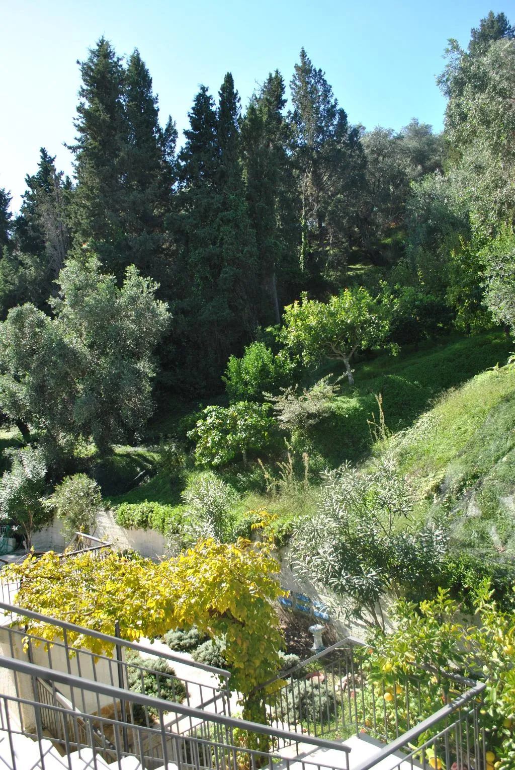 General view, Helios Splendid, Corfu
