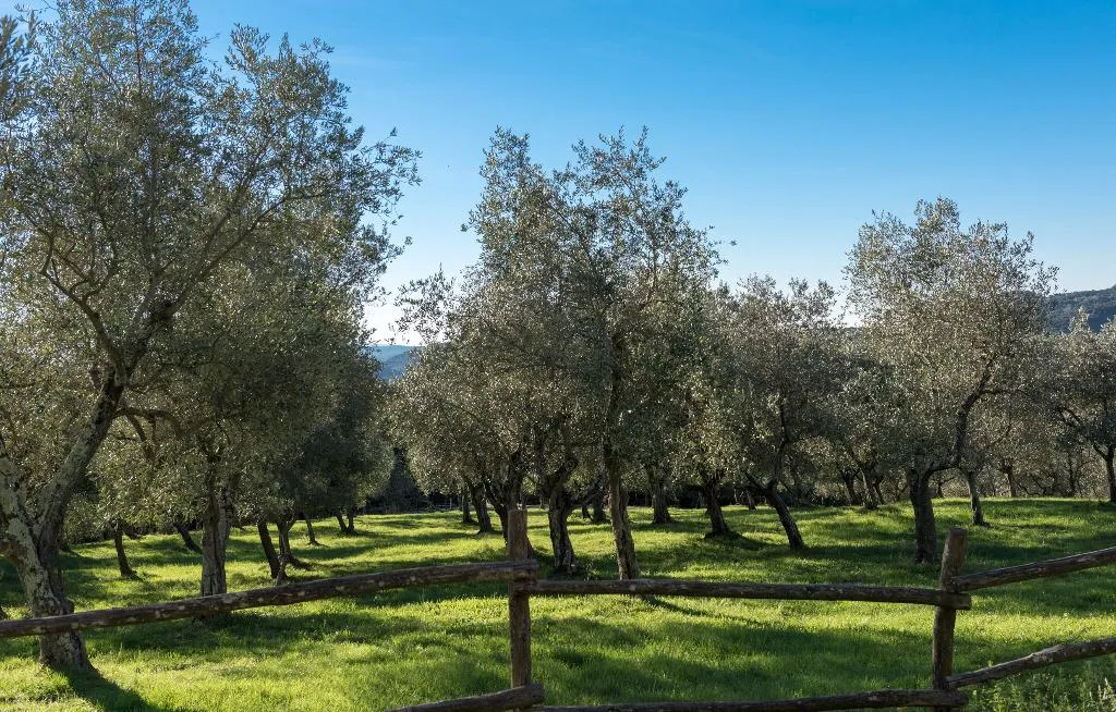 Terrace, Borgo Tenuta La Bandita, Florence