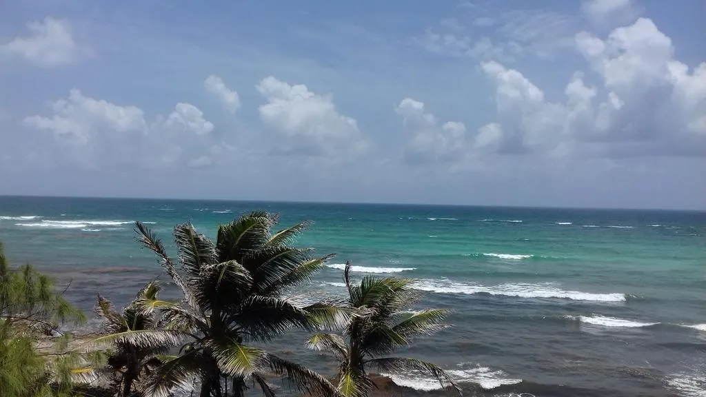 Beach, Sunbay Hotel, Barbados
