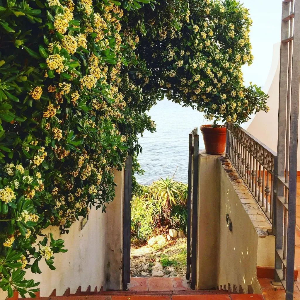 General view, Villa Grachira, Alghero