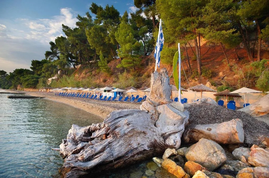 Beach, Acrotel Athena Pallas & Residence, Halkidiki