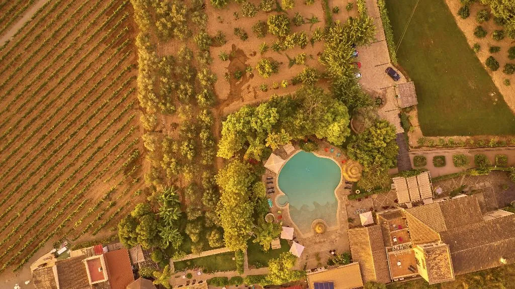 Pool, Sa Vinya des Convent Agroturismo, Majorca