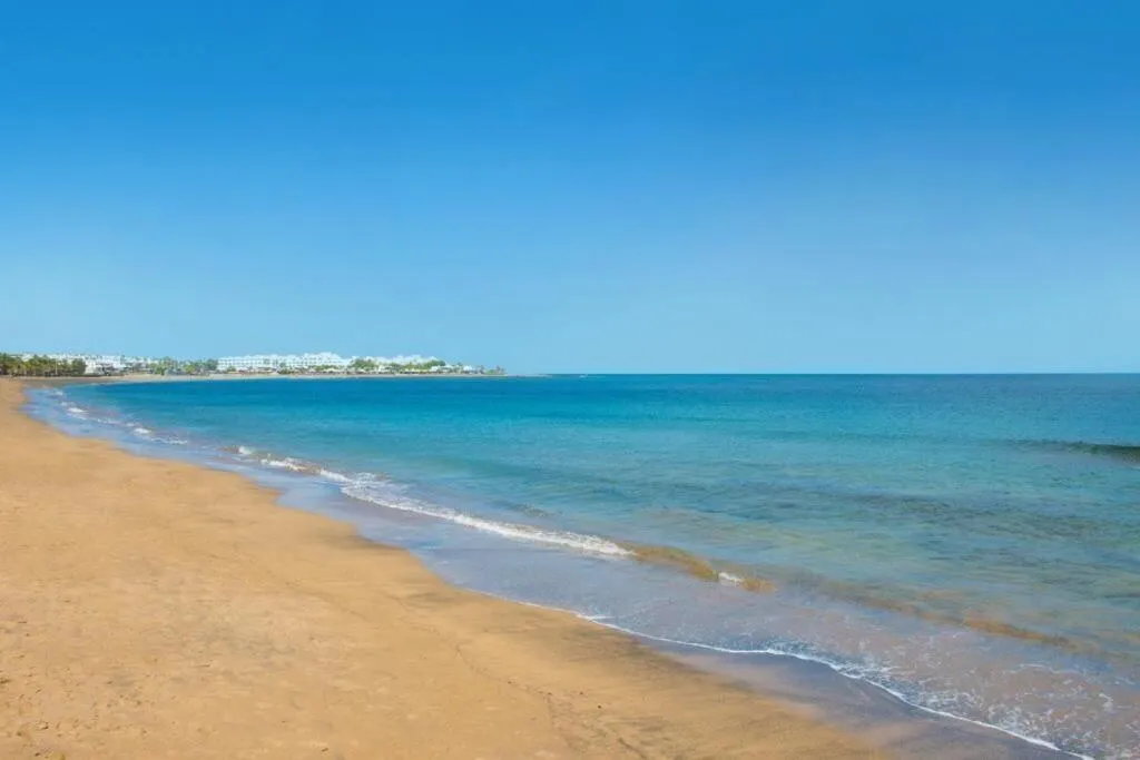 General view, Relaxia Olivina, Lanzarote