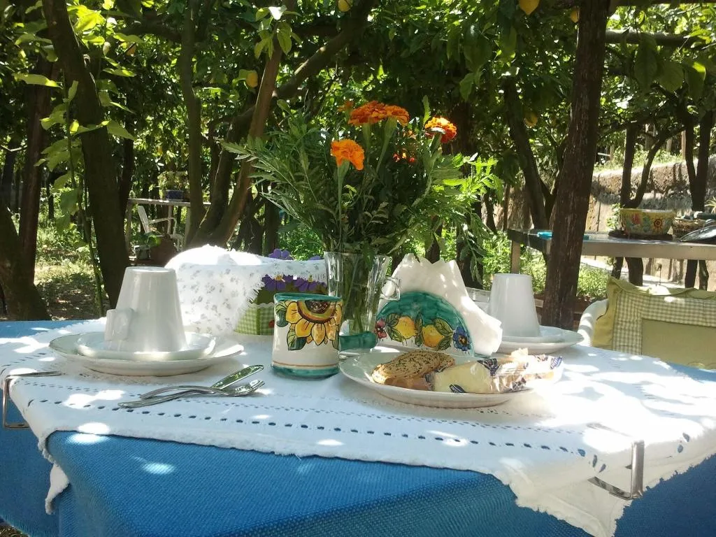 Restaurant, B&B La Zagara, Naples