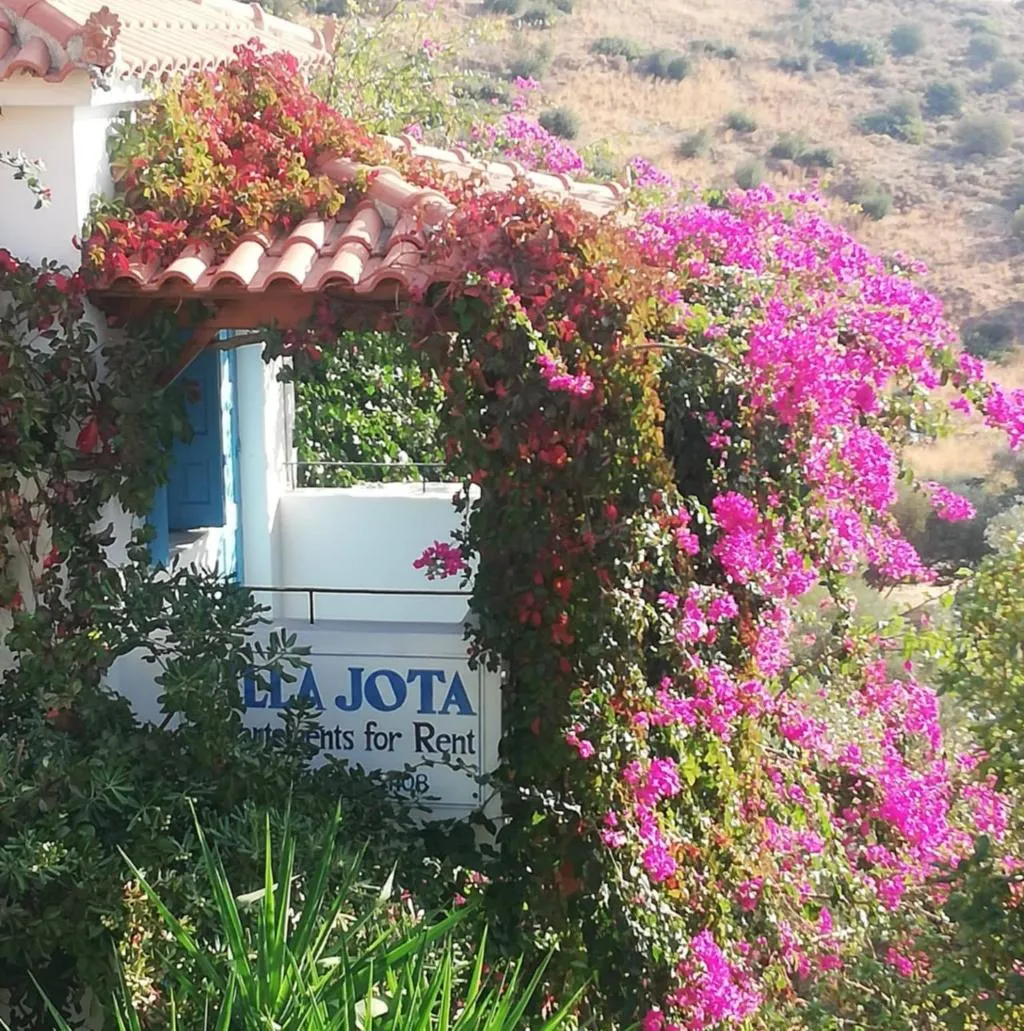General view, Apartments Jota, Samos