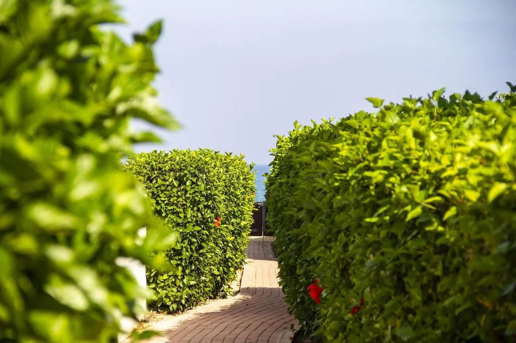 Terrace, Atlantis Gardens Apartments & Villas, Cyprus