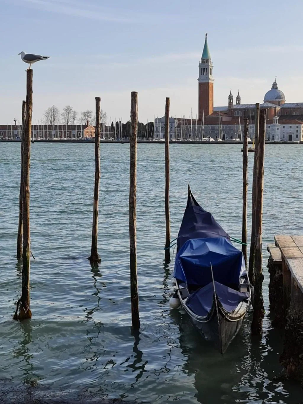 General view, Friendly Venice, Venice