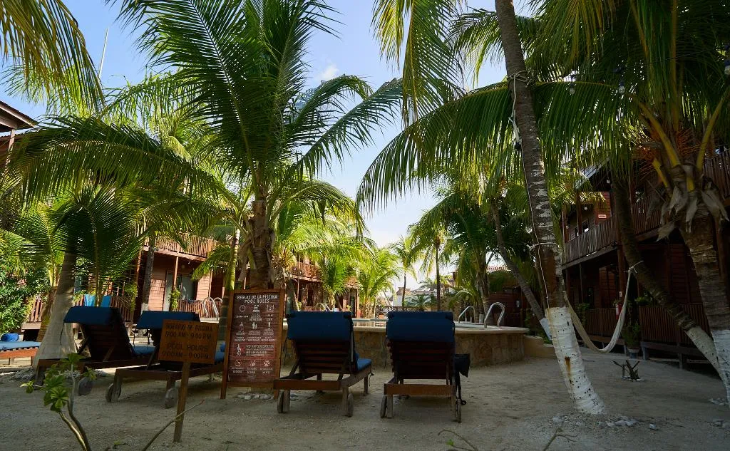 General view, Coconut By ÓOL Hotels, Cancun Area
