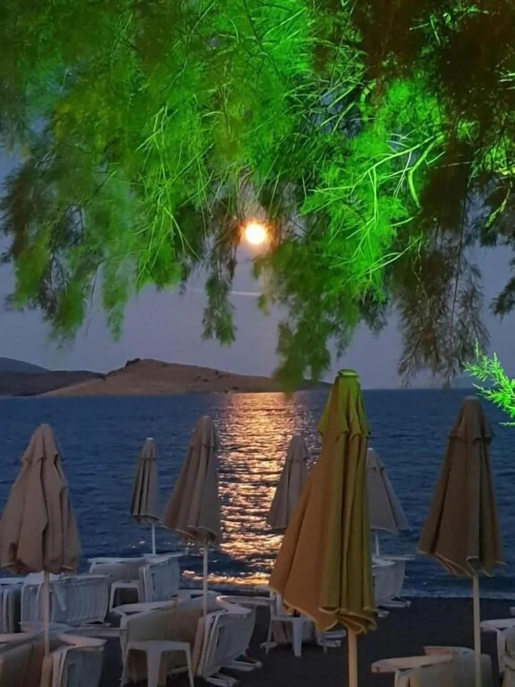 General view, Viras Hotel, Bodrum