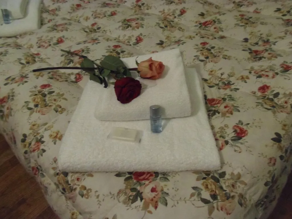 Room, Relais Del Duomo, Florence